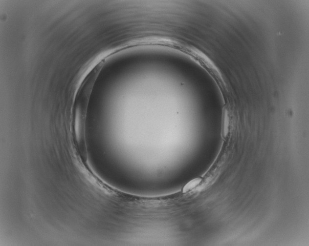 X0000066100860200603101139