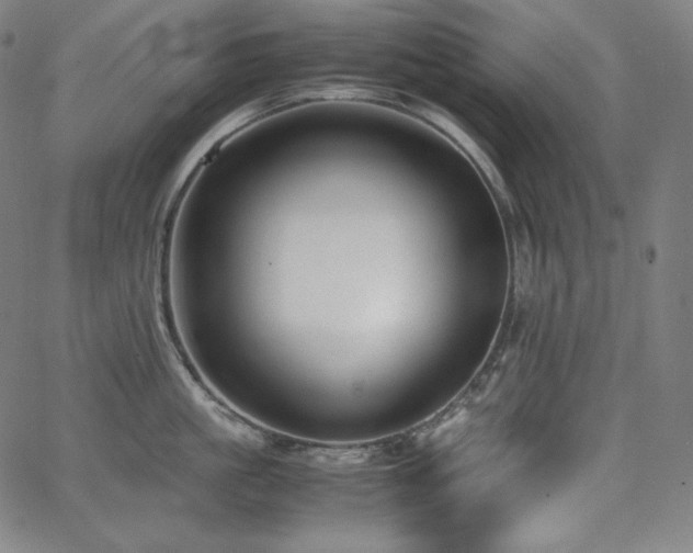 X0000066100861200603101139