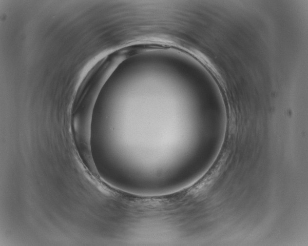 X0000066100862200603101139