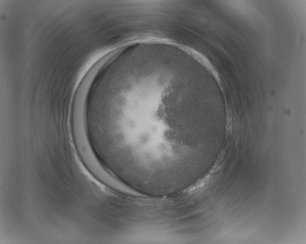 X0000066100863200603101139