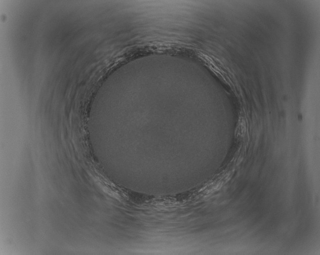 X0000066100865200603101139