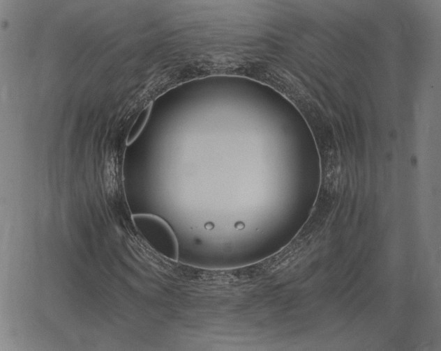 X0000066100866200603101139