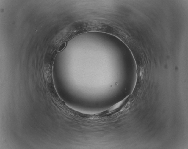 X0000066100867200603101139