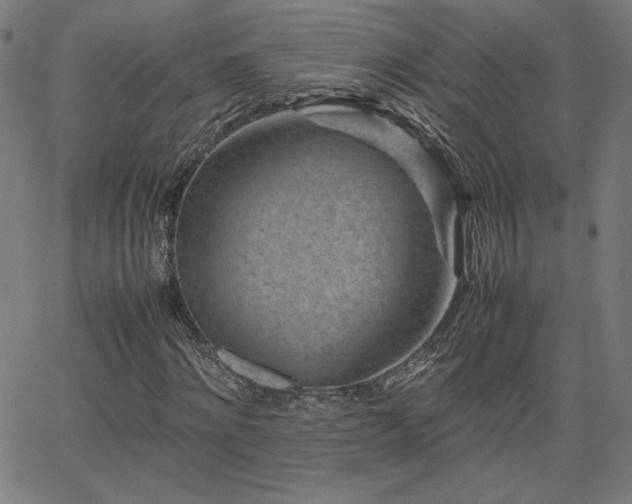 X0000066100868200603101139