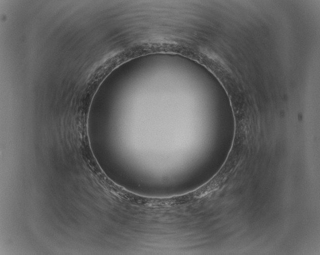 X0000066100870200603101138