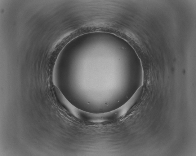 X0000066100872200603101138