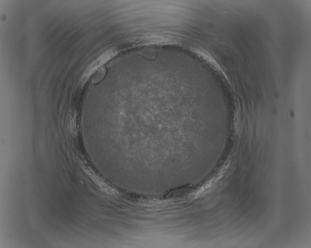 X0000066100873200603101138