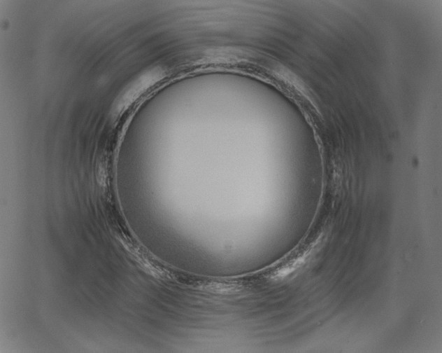 X0000066100874200603101138