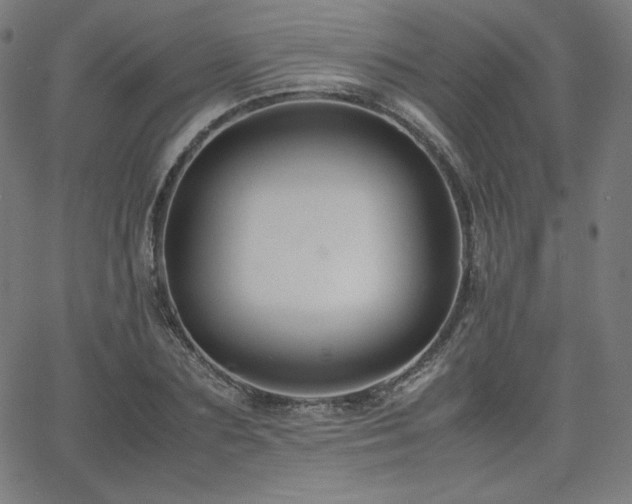 X0000066100883200603101138