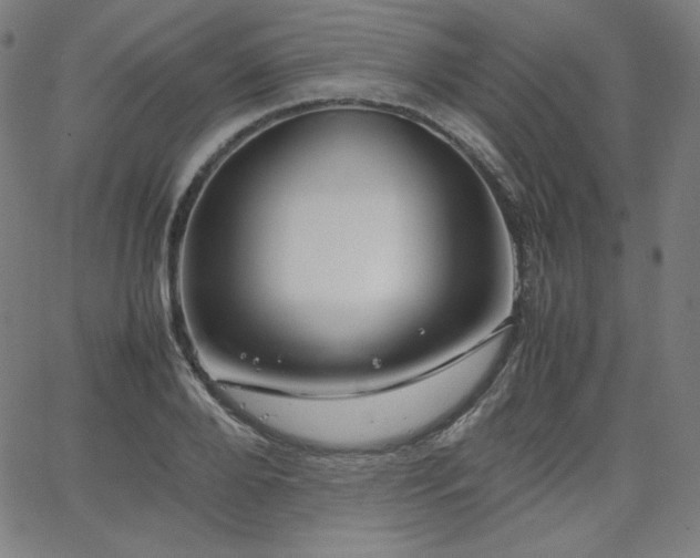 X0000066100888200603101138