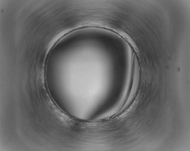 X0000066100904200603101138