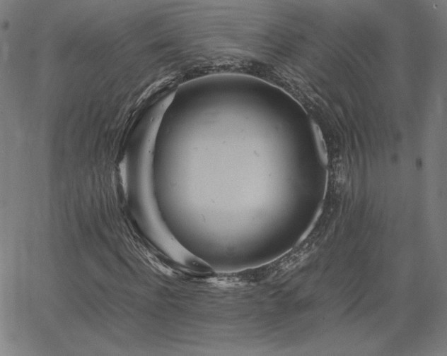 X0000066100916200603101137