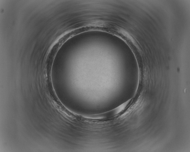 X0000066100923200603101137