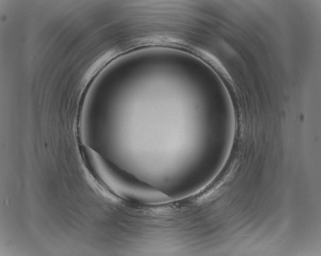 X0000066100946200603101138