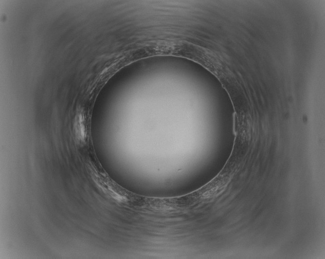 X0000066100962200603101137