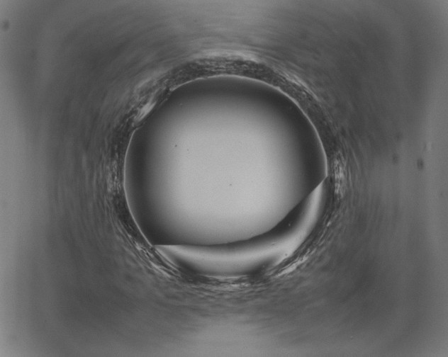 X0000066100965200603101137