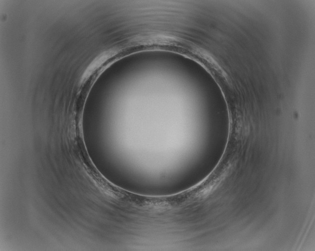 X0000066100978200603101137