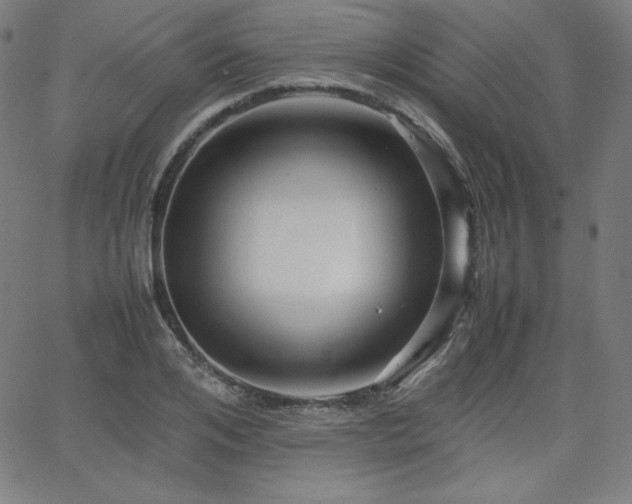 X0000066100984200603101137
