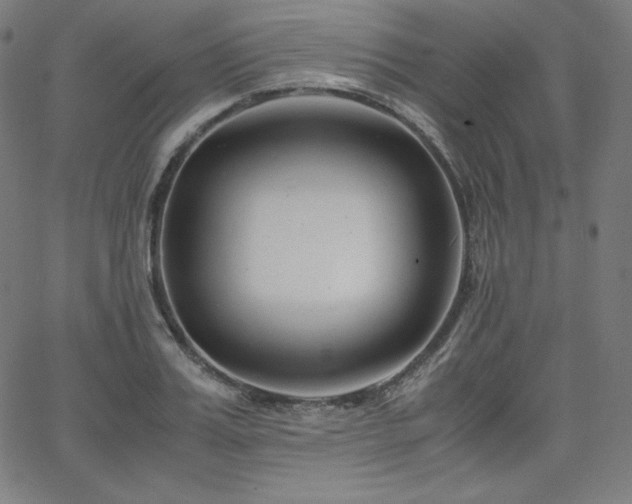 X0000066100987200603101137