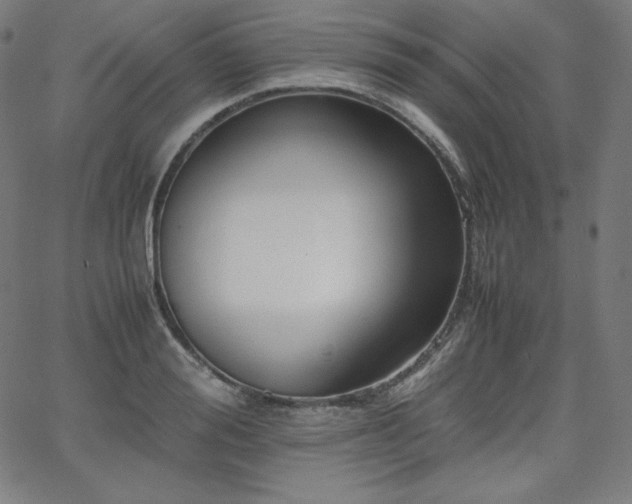 X0000066100988200603101137