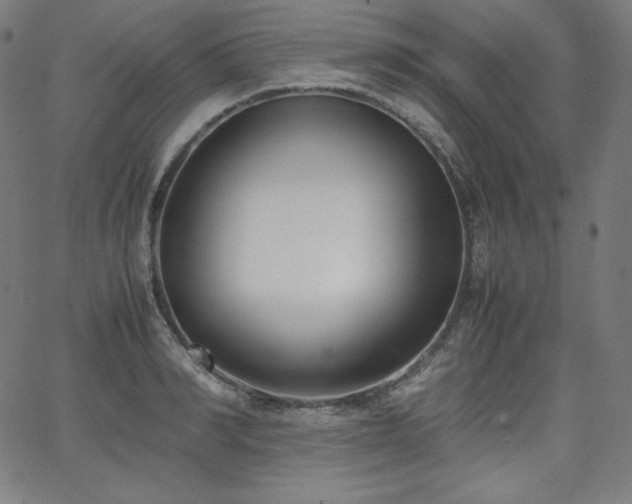 X0000066100990200603101137