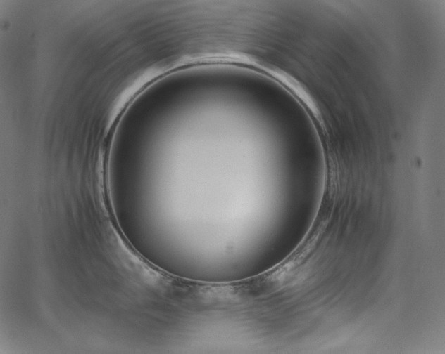 X0000066101006200603101136