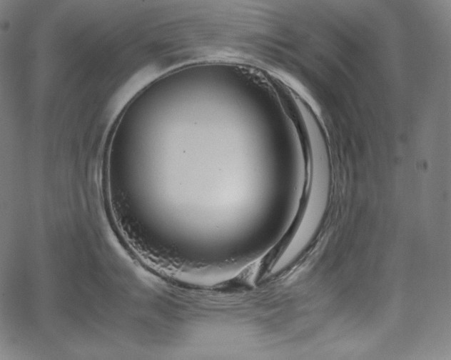 X0000066101007200603101136
