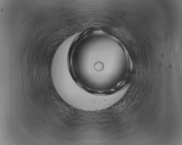 X0000066101010200603101136