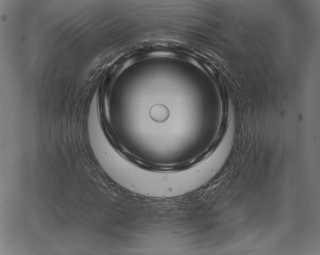 X0000066101014200603101136