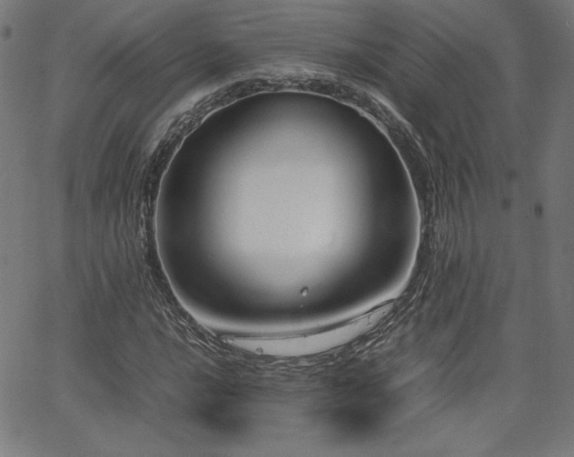 X0000066101016200603101136