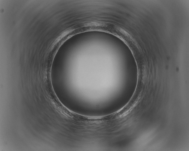 X0000066101017200603101136