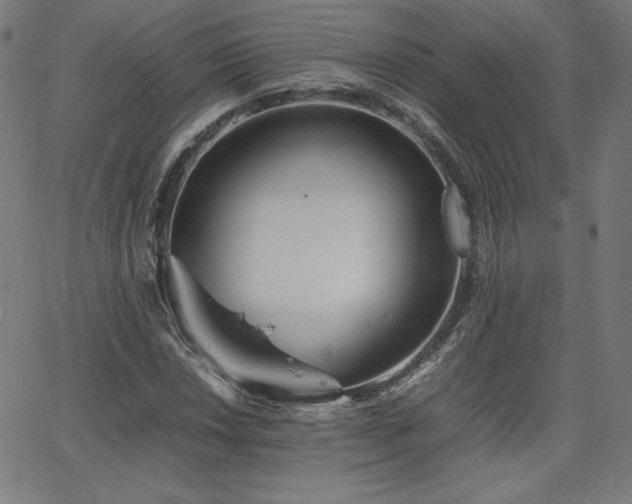 X0000066101018200603101136