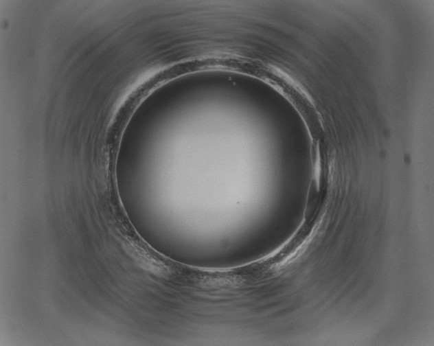 X0000066101021200603101136