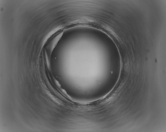 X0000066101026200603101136