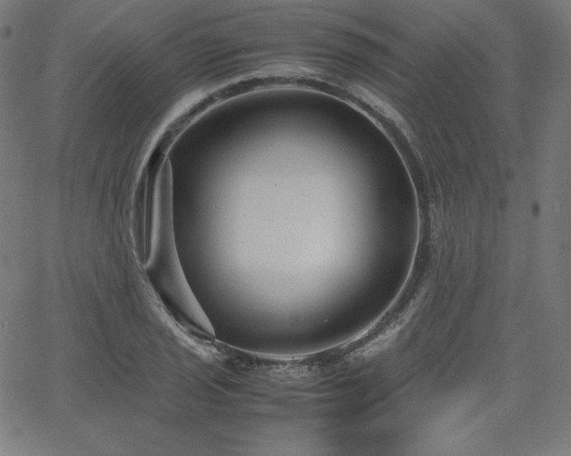 X0000066101029200603101136