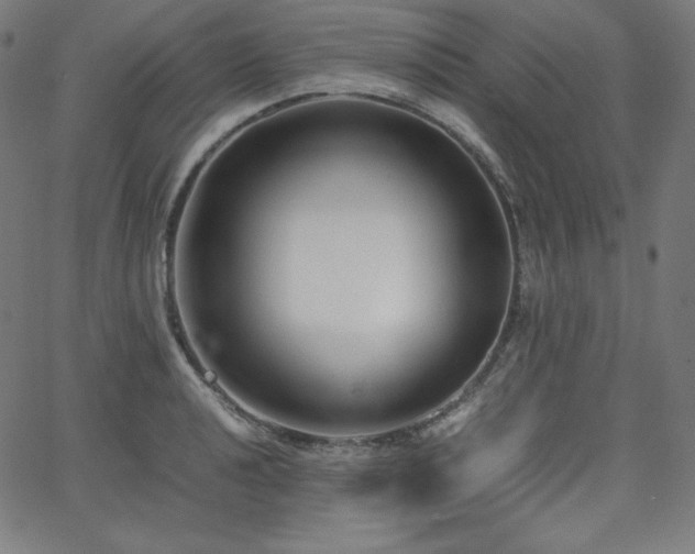 X0000066101040200603101136