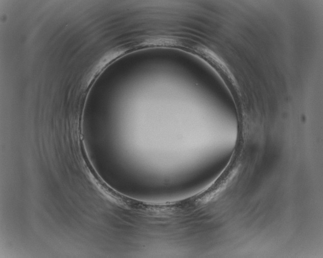 X0000066101041200603101136