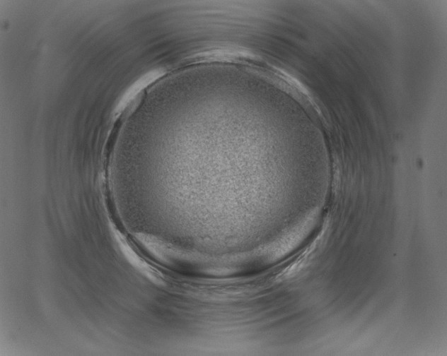 X0000066101042200603101136