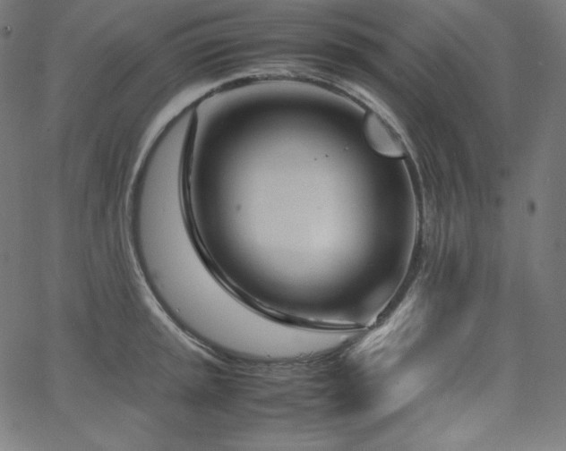 X0000066101045200603101136
