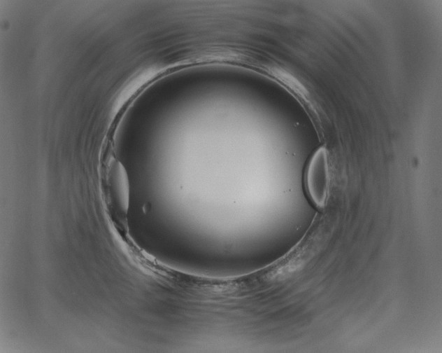 X0000066101047200603101136