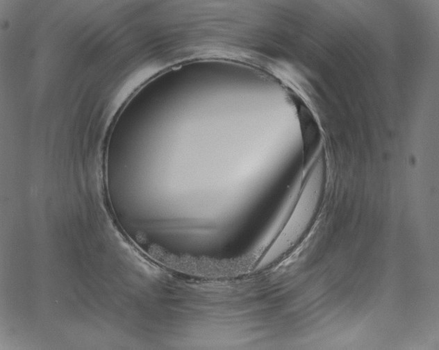 X0000066101048200603101136