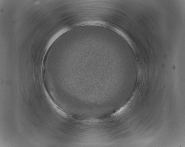X0000066101050200603101136