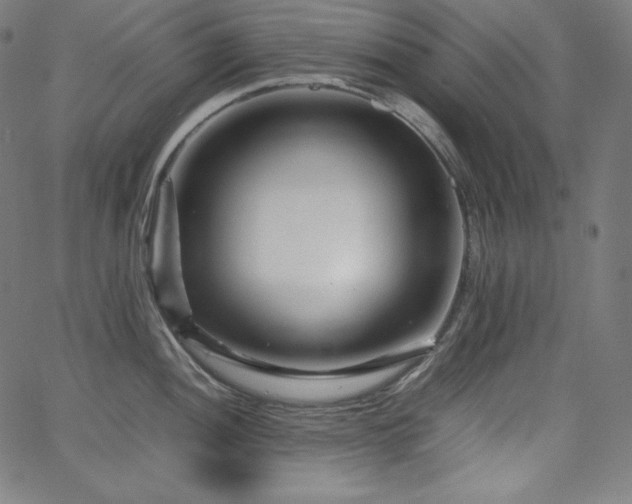 X0000066101052200603101136