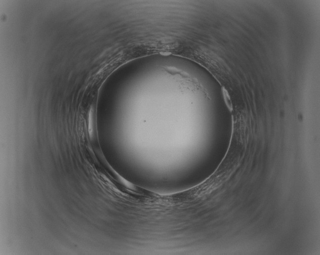 X0000066101058200603101135