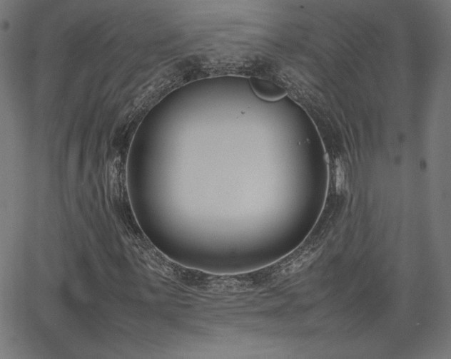 X0000066101059200603101135