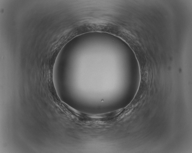 X0000066101061200603101135