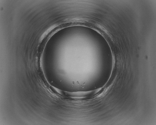 X0000066101066200603101135