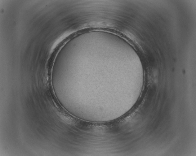 X0000066101070200603101135