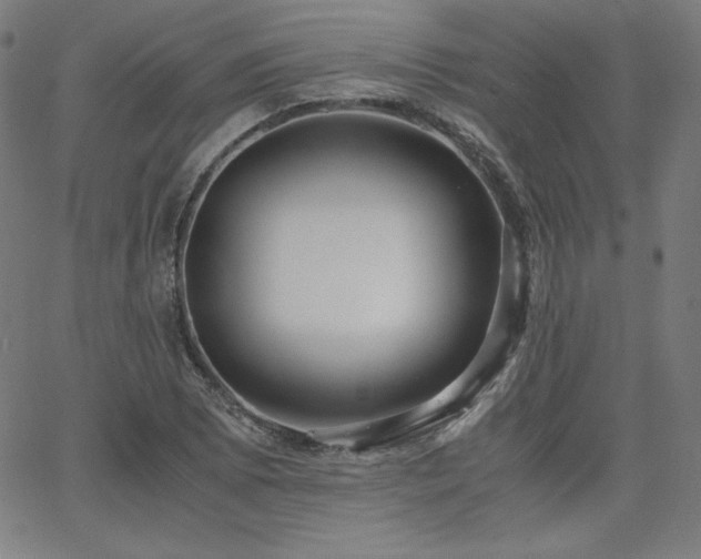 X0000066101073200603101135