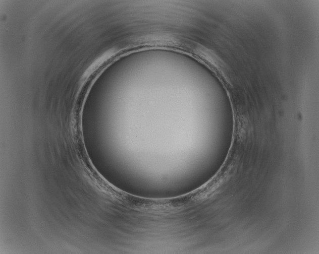 X0000066101074200603101135